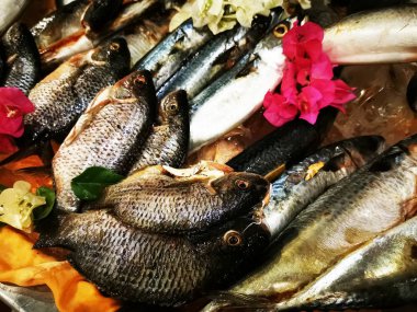 Çiğ balık arka plan