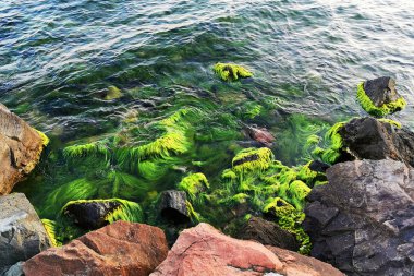 Ravda köyünde Bulgar Karadeniz