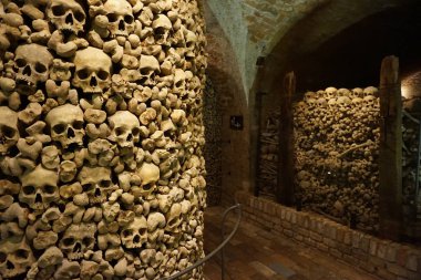 Brno Çek Cumhuriyeti 'nde eski bir ozoftur.