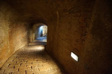 Brno Çek Cumhuriyeti 'nde eski bir ozoftur.