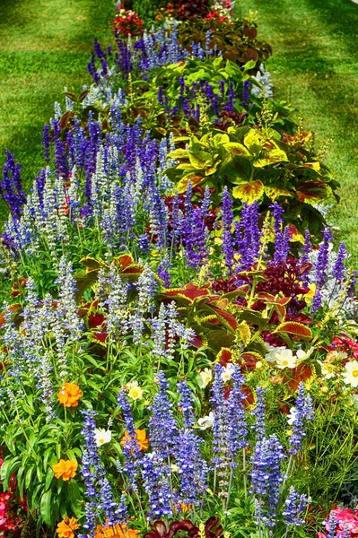 Jardim de verão verde na área do castelo de Lednice — Fotografia de Stock