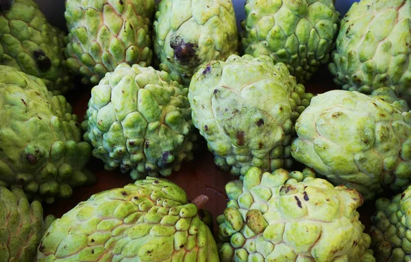 Green annona fruits — Stock Photo, Image