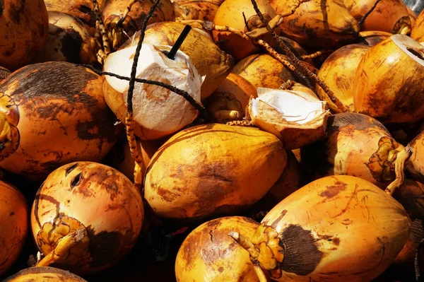 Verse kokosnoot gele vruchten textuur — Stockfoto