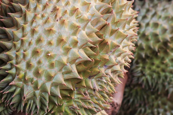 Textura de fruta duriana — Fotografia de Stock