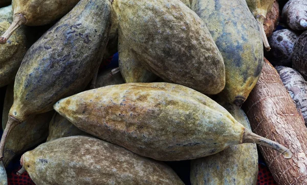 Färsk baobabfrukt — Stockfoto