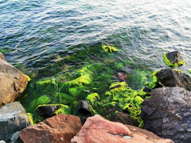 Ravda köyünde Bulgar Karadeniz