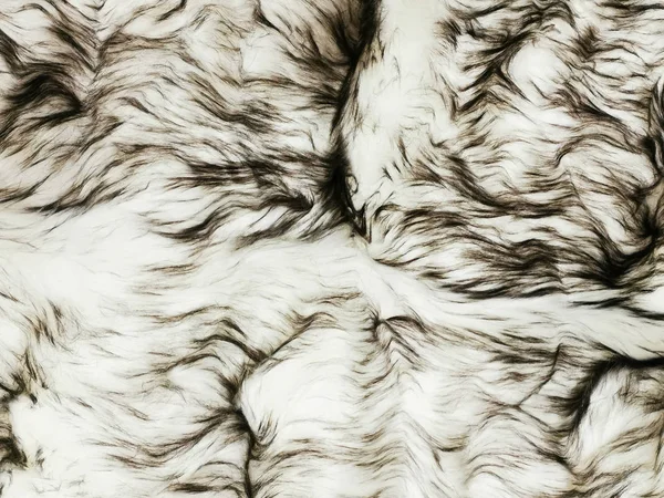 Furry leather texture — Stock Photo, Image