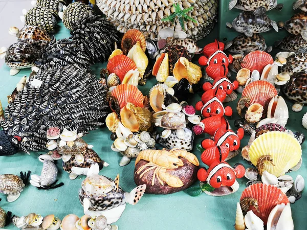 Coquillages de mer collection souvenirs — Photo