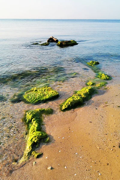 ブラジル黒海-ラバダ村 — ストック写真