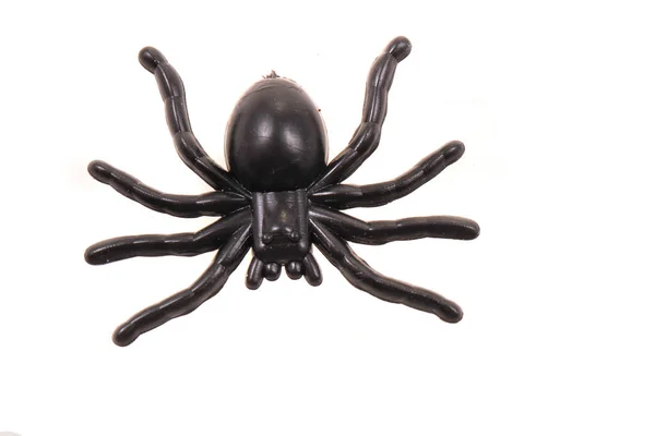 Plastic spider isolated — 图库照片