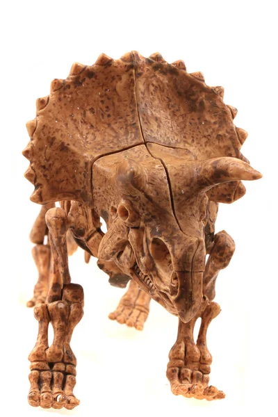 Triceratops skeleton isolated — 图库照片
