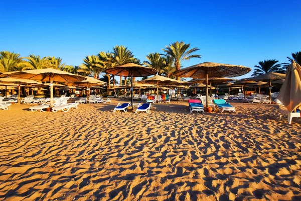 Beach in the egypt — Stock Photo, Image