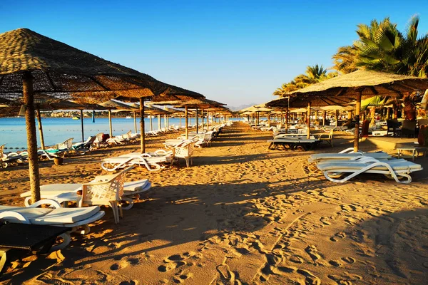 Beach in the egypt — Stock Photo, Image