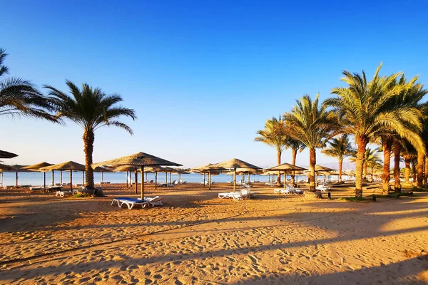 Stranden i Egypten — Stockfoto