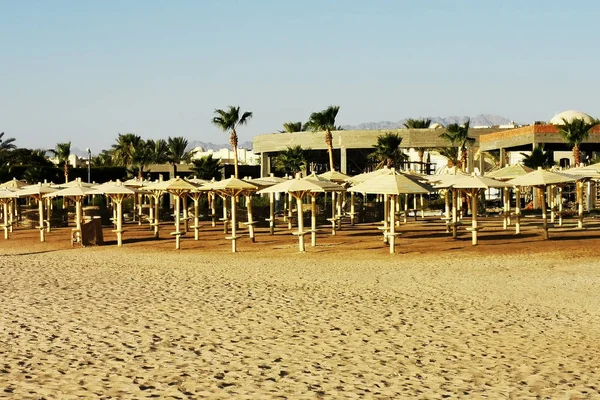 海滩在埃及 — 图库照片