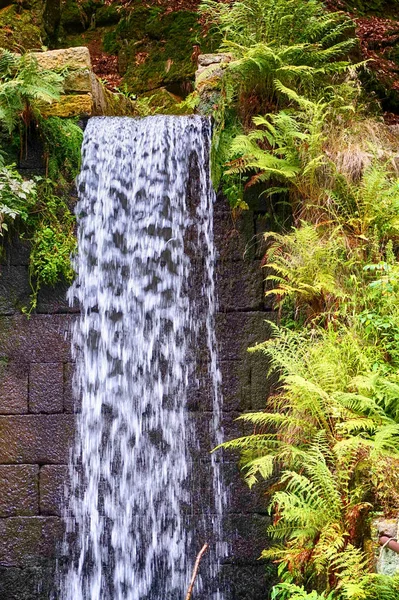 Wodospad w mchu — Zdjęcie stockowe