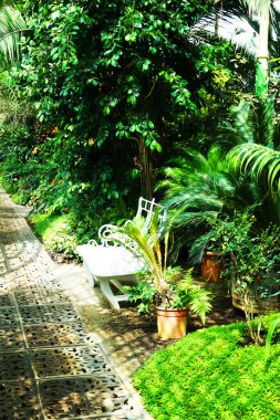 Lednice Şatosu Czech Cumhuriyeti yakınlarında tropik bir sera.