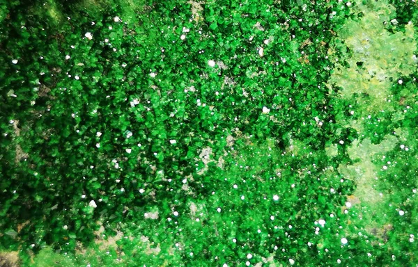 Textura Mineral Uvarovita Verde Como Fundo Agradável — Fotografia de Stock