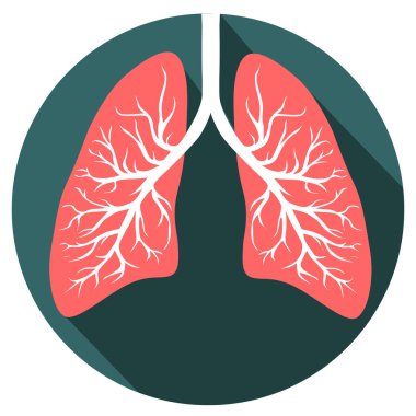 Human lungs organ clipart