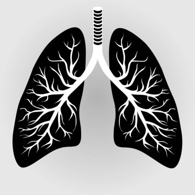 Human lungs organ clipart