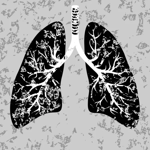 Ανθρώπινα πνευμόνια — Διανυσματικό Αρχείο