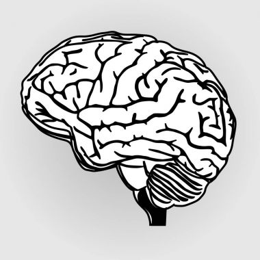 beyin vektör çizim