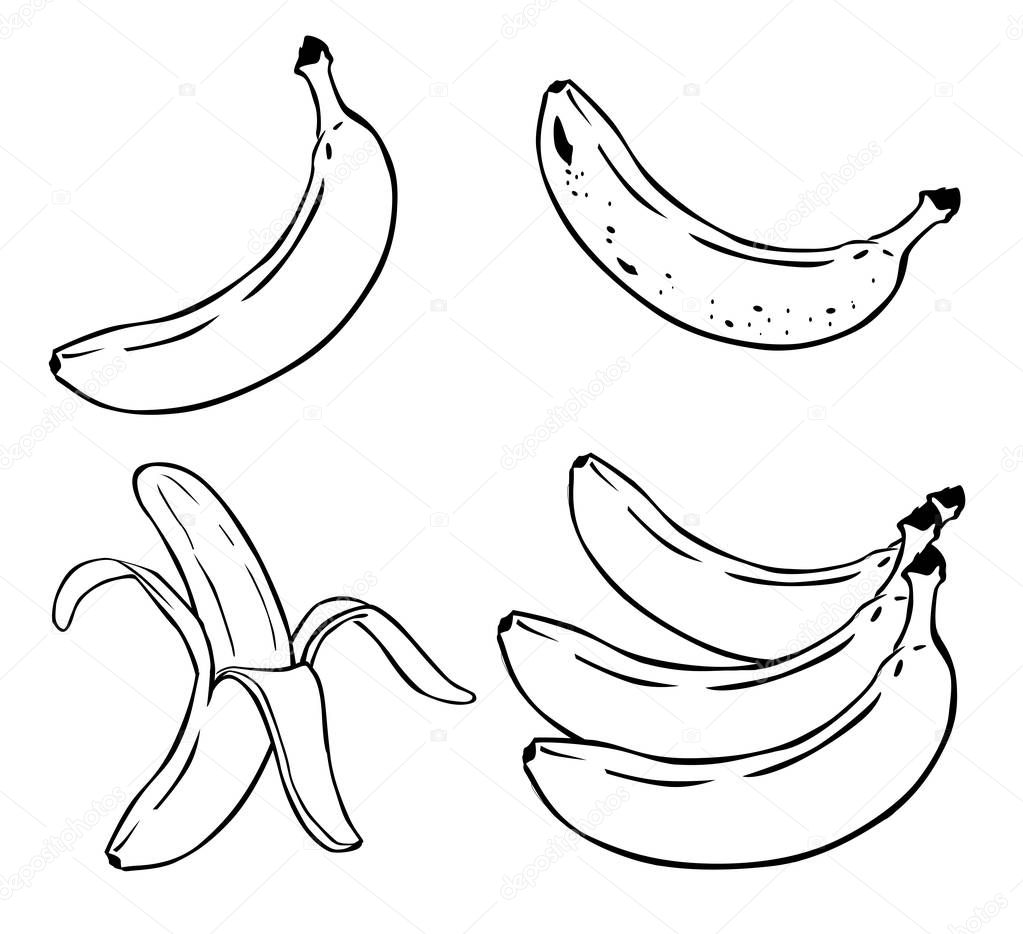 Banana Fruit Food