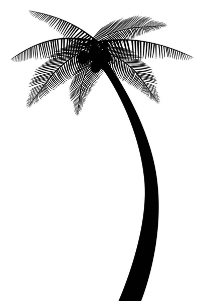 Palm Tree Silueta Vektorové Eps — Stockový vektor