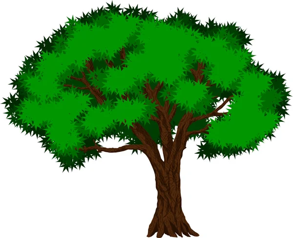 Vector árbol de la selva tropical — Vector de stock