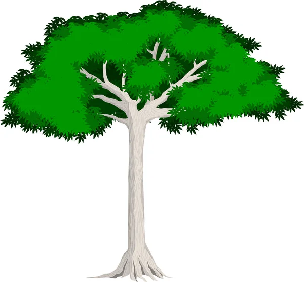 Vector tropical árbol de Kapok — Vector de stock