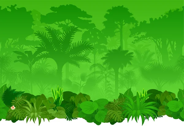 Vector sem emenda floresta tropical Selva fundo — Vetor de Stock