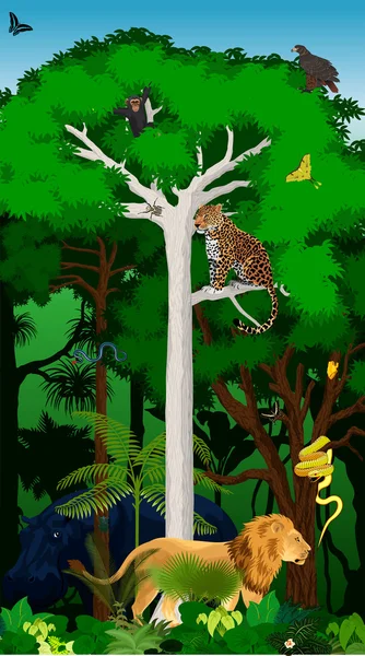 Illustrazione vettoriale foresta pluviale della giungla africana con animali — Vettoriale Stock