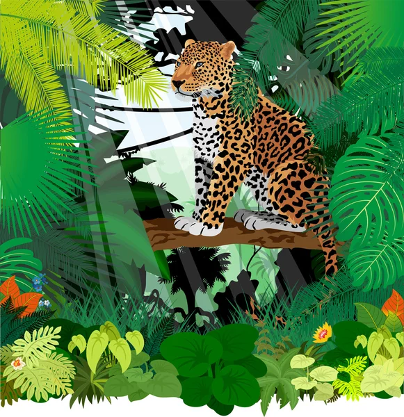 Vector Jaguar, Leopard in Jungle Rainforest — Stock Vector