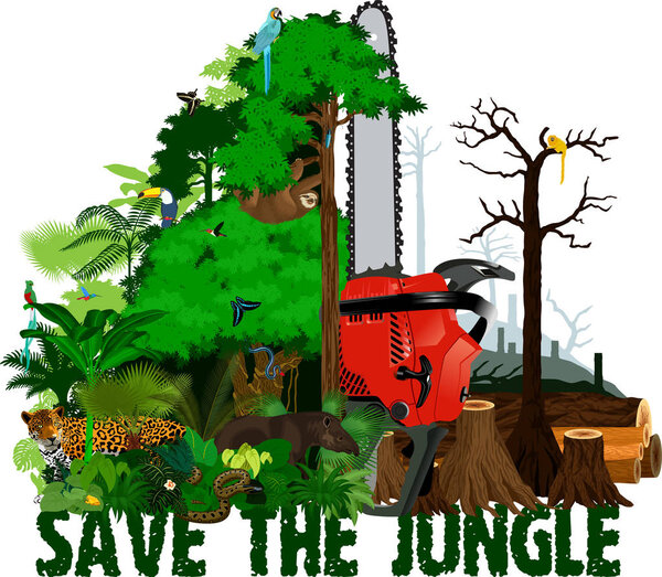 Deforestation  jungle vector illustration. Vector Rainforest destroyed with animals.