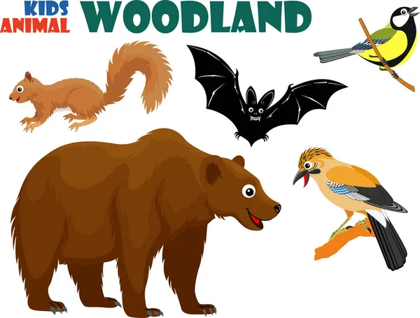 Vector set of cute woodland kids animals — Stock Vector