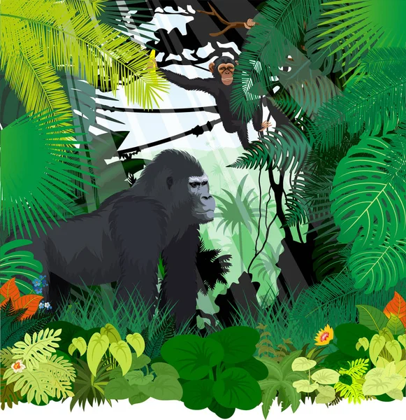 Macacos vetores na selva — Vetor de Stock