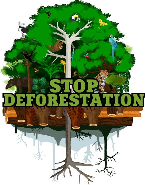 Avskogning djungel vektorillustration. Vector regnskog förstörs med djur. — Stock vektor