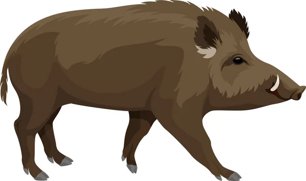 ベクトル野生の豚イノシシ マスコット — ストックベクタ