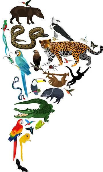 Animales América del Sur - ilustración vectorial — Archivo Imágenes Vectoriales