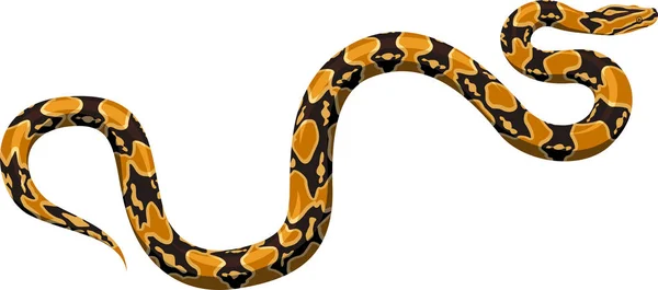 vektör python boa