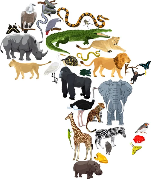 Animales África - ilustración vectorial — Vector de stock