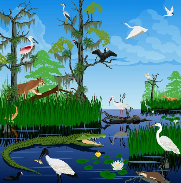 Vector humedal Pantanal Everglades paisaje con animales — Vector de stock