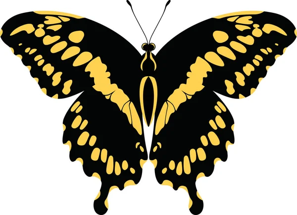Vetor Giant Swallowtail Borboleta (Papilio Cresphontes ) — Vetor de Stock