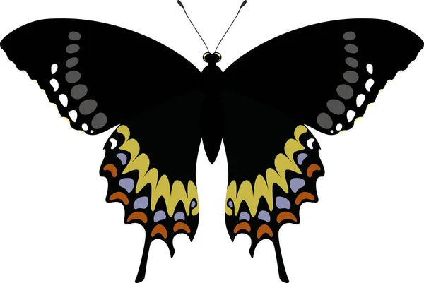 Mariposa vectorial aislada. Electrión de Papilio garamas — Archivo Imágenes Vectoriales