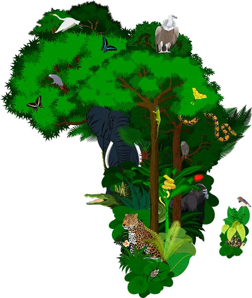 Dieren en bloemen Afrika - vectorillustratie — Stockvector