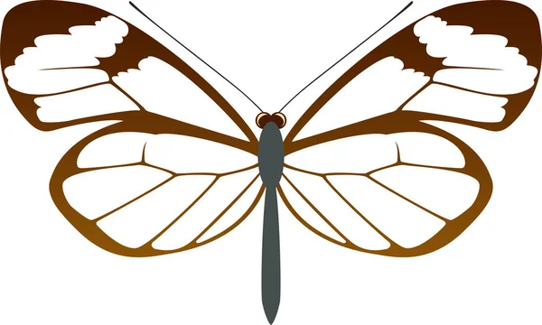 Vector Glasswing mariposa Greta oto — Archivo Imágenes Vectoriales