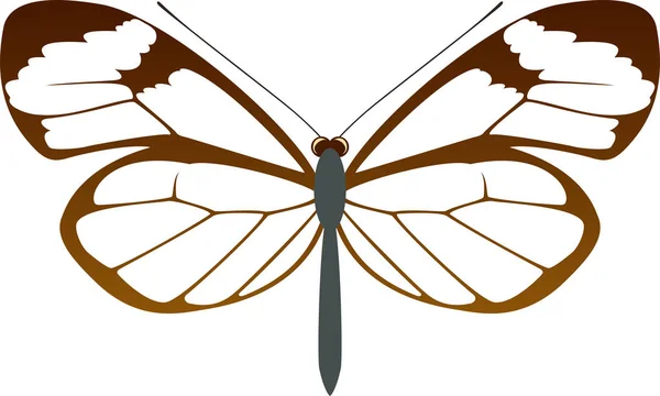 Διάνυσμα Glasswing πεταλούδα Γκρέτα oto Royalty Free Εικονογραφήσεις Αρχείου