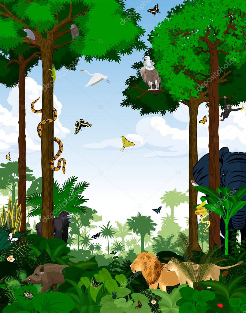Rainforest vector illustration. Vector Green Tropical  jungle with animals.