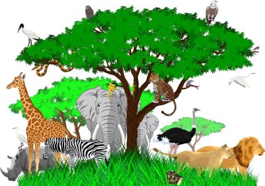 vektör Afrika savana hayvanlar ile