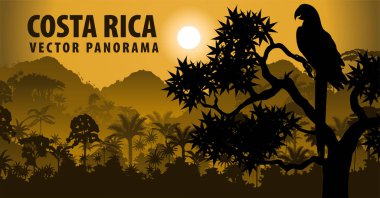 Kosta Rika vektör Panoraması ile orman raimforest withara makaw papağan